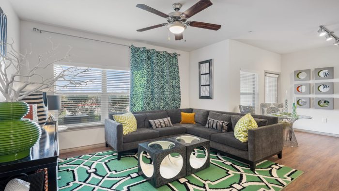 a living room with a green rug and a gray couch at The  BLVD